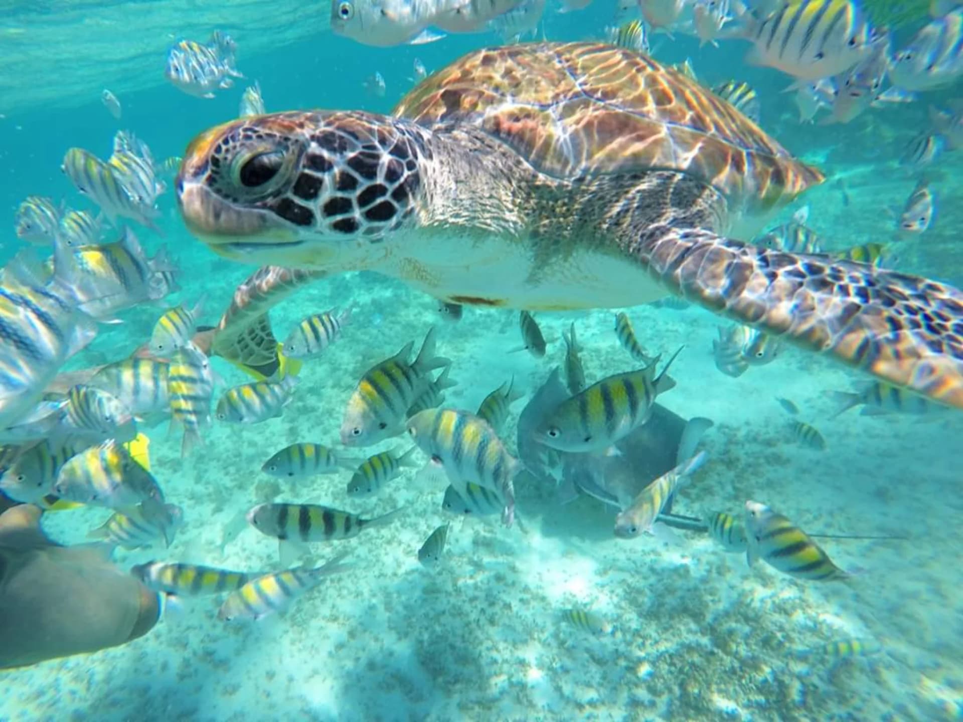 Local excursion from Onze Xpuha